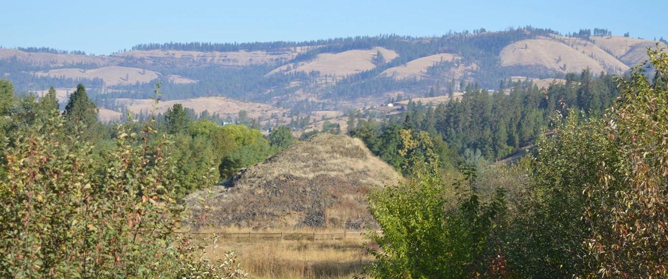 A basalt rock formation rising from the meadow at Heart of the Monster.